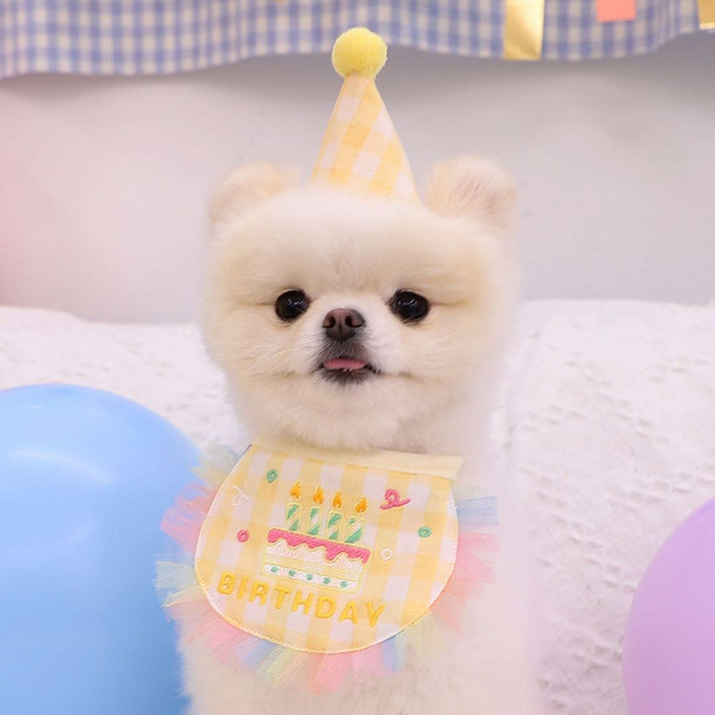 dog birthday birthday style pet cat hat happy bar dog celebration photo shooting
