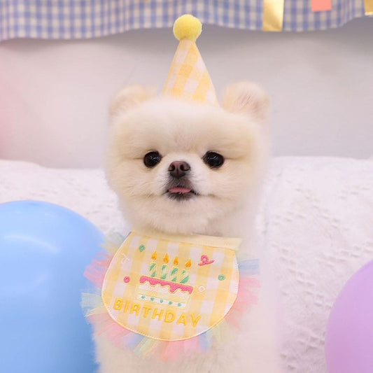 dog birthday birthday style pet cat hat happy bar dog celebration photo shooting